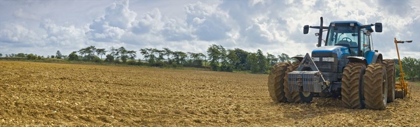 Uprawa pól, zbiór plonów i inne zabiegi agrotechniczne, Usługi rolnicze Adam Szot, Markowizna